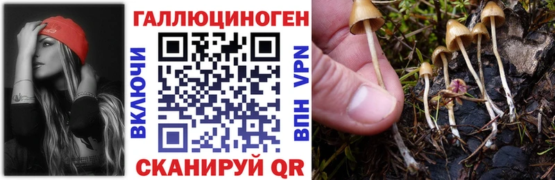 Галлюциногенные грибы Cubensis это какой сайт Иннополис где купить наркоту