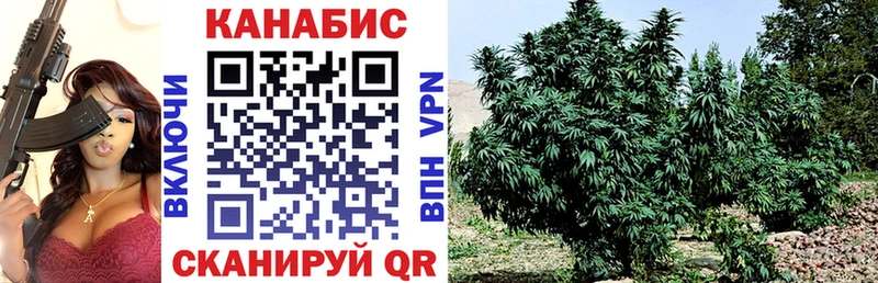 Конопля LSD WEED  где можно купить   гидра ССЫЛКА  Иннополис 